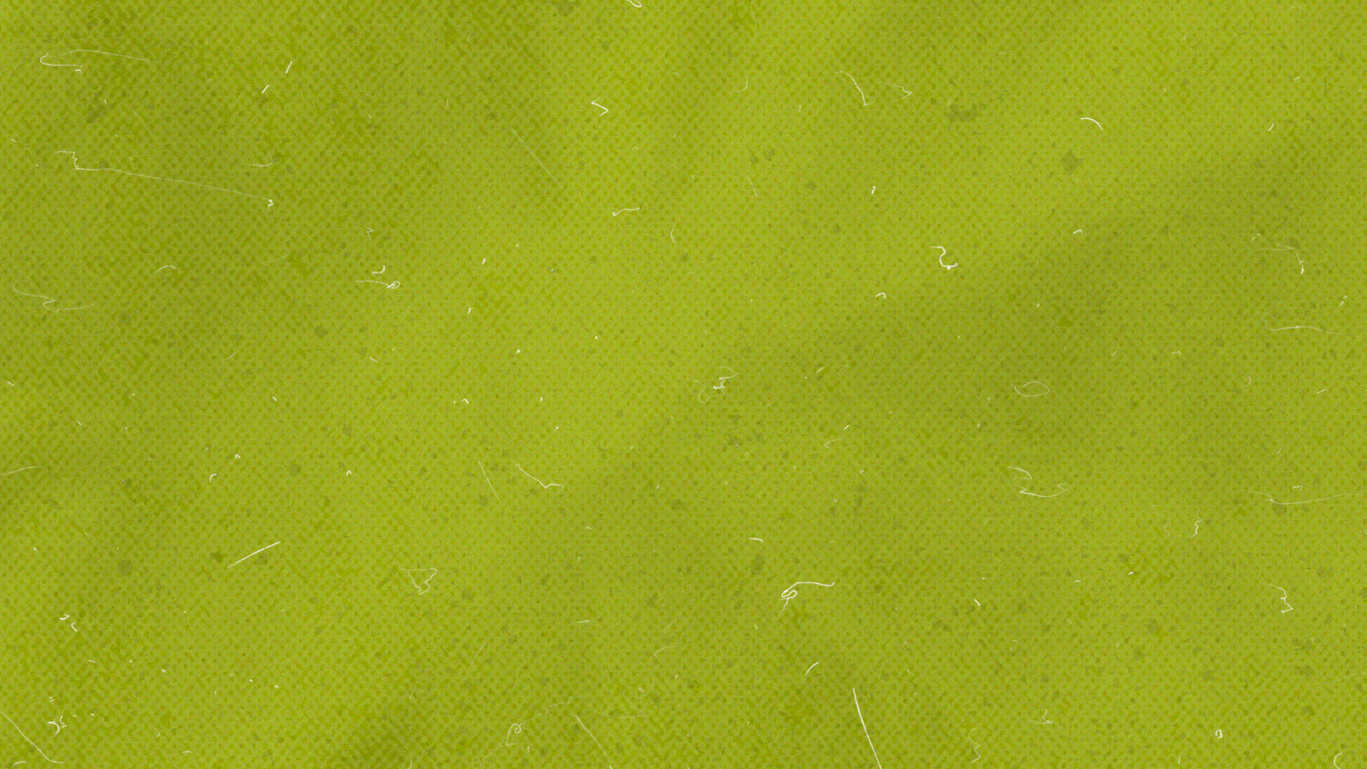 program image